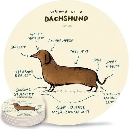 Anatomy of A Dachshund Ceramic Coasters Waterproof Tea Cup Mat Modern Home Decor Coasters for Glasses