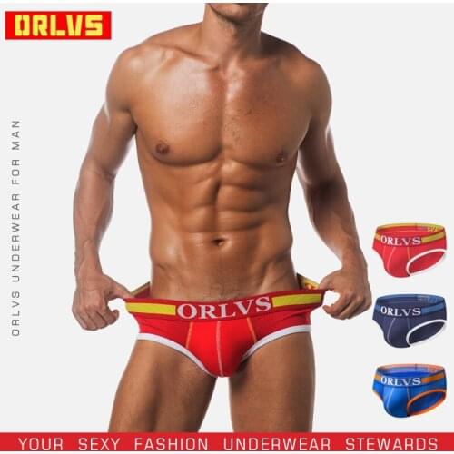 ORLVS Sexy Briefs Men Underwear Breathable Nylon Comfortable Underpants Male Panties Quick Dry Cueca Tanga Men Briefs OR117