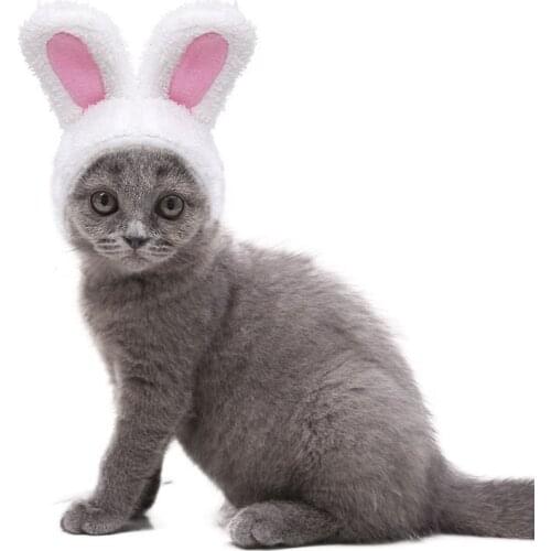 Autumn winter Cat hat dog white rabbit lovely warm comforter cotton lint small medium dog head cover supplies