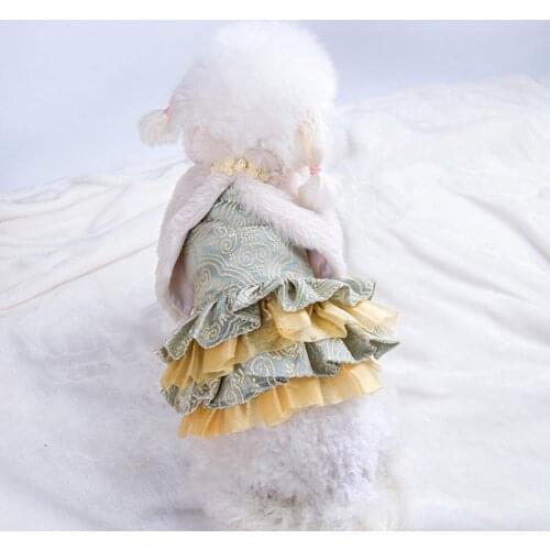 Keep Warmth Skin-friendly Cute Pet Dogs Cats Princess Dress for Autumn