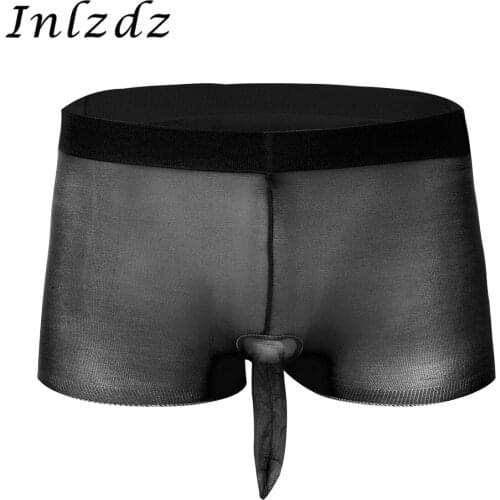 Men Women Lingerie Panties Stretchy Hot Sexy Transparent Boxer Briefs for Sex Stocking Shorts Exotic Male See Through Underwear