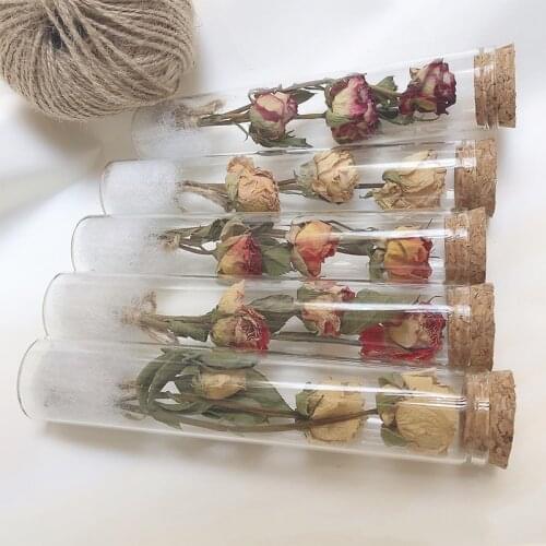 Gift Glass Test Tube Dried Flower Bouquet Immortal Flower Plant Specimen Decoration Decoration Wish Decorations For Home