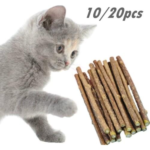 10/20pcs Pure Natural Catnip Pet Cat Toy Safety Molar Toothpaste Branch Cleaning Teeth Cat Snacks Sticks Pet Supplies Catnip