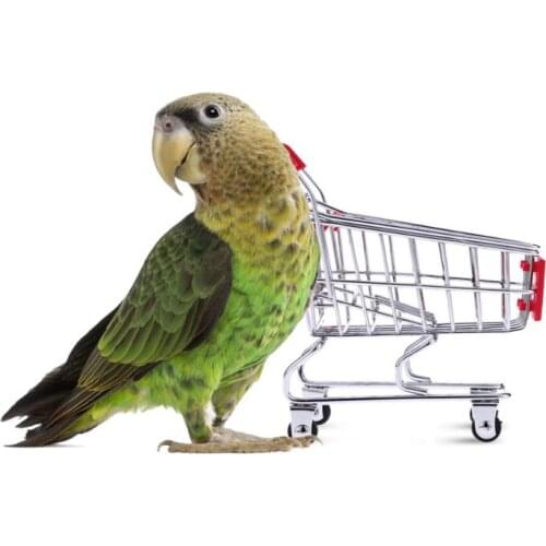 Cute Parrot toy bird Supermarket Shopping Intelligence Cart Kids Growth Box Funny Pet birds Toys 9 Colors Storage basket AU447