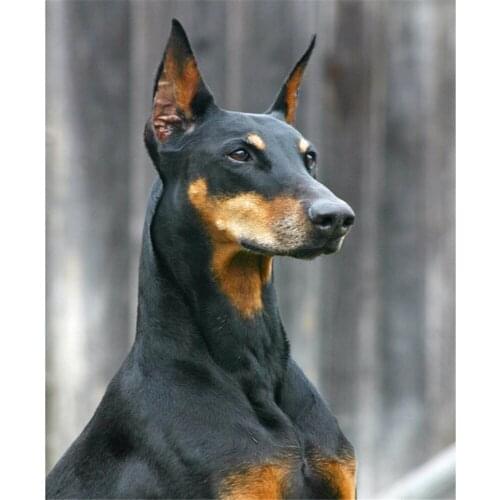 Animal Dog Doberman DIY 11CT Cross Stitch Embroidery Kits Craft Needlework Set Cotton Thread Printed Canvas Home Wholesale