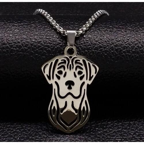 2021 Dog Stainless Steel Chocker Necklace Women Jewelry Silver Color Labrador Retriever Necklace Jewelry acero inoxidable N18064