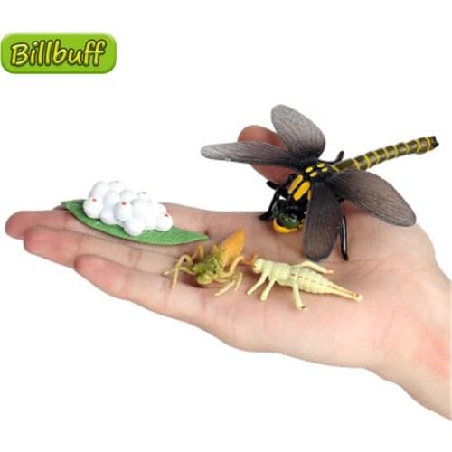 4Pcs Simulation Animal Model Child PVC Mini Animal Insect Dragonfly Bee Snails Growth Cycle Action Figures Doll Toy for Kid Gift