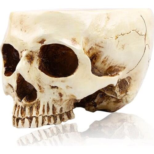 [MGT] Animal Skull Flower Pot Handmade Sculpture Model 1:1 Ashtray Ghost Festival Potted Fruit Bowl Storage Tank Family Decorati