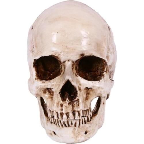 1Pc Terrifying Halloween Skull Realistic Skull Model Human Skeleton Heads Decor for Haunted House Party Halloween Decoration