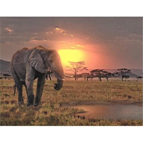 Diy 5D Diamond Painting African elephant sunset landscape animal Full Square round Cross stitch Mosaic Diamond EmbroideryZP-1832