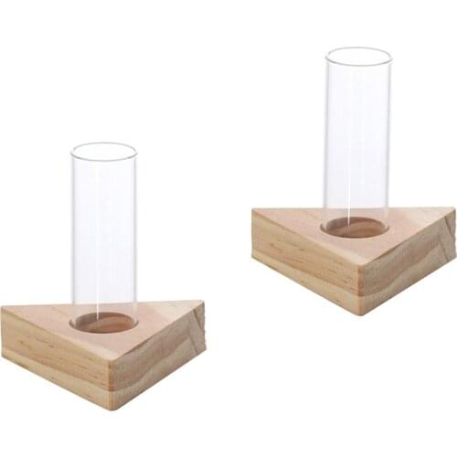Modern Style Test Tube Vase in Wooden Stand for Flowers Plants - Home Garden Cafe Bar Decoration