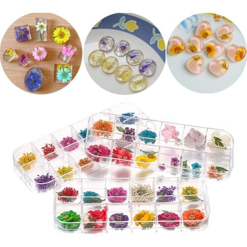 36pcs/Box 12 Colors 3D Real Dried Flower Dry Plants Epoxy UV Resin Craft Nail Art Decorations For DIY Jewelry Making Accessories