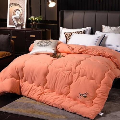Skin friendly quilt comfortable thickened warm comforter spring winter cotton air conditioning quilt core feather velvet quilt