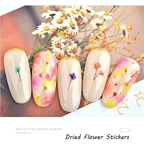 Dried Flower Nail Art Decoration Carved Nail Stickers With 12 Color Gel Polish Manicure Tools