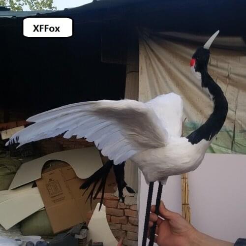Big real life Red-crowned crane bird model foam&feather vivid bird doll gift about 60x45cm xf0816