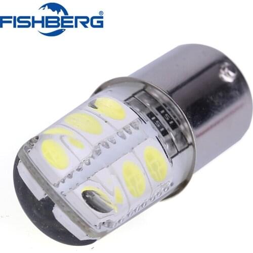 FISHBERG LED Bulbs R5W (BA15s)