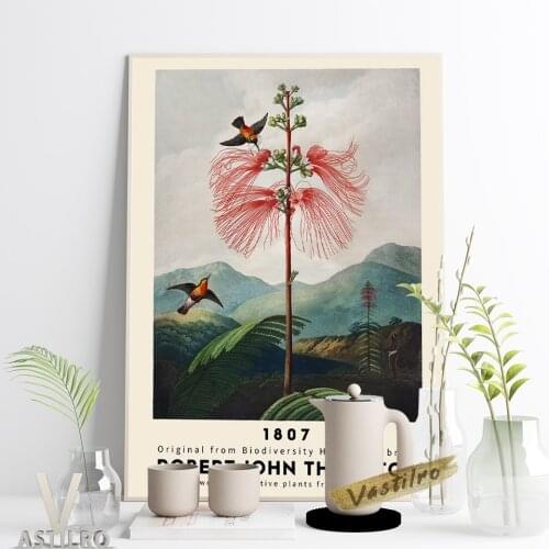 Robert John Thornton Botanist Exhibition Museum Poster Large-Flowering Sensitive Plant From The Temple Of Flora Library Decor