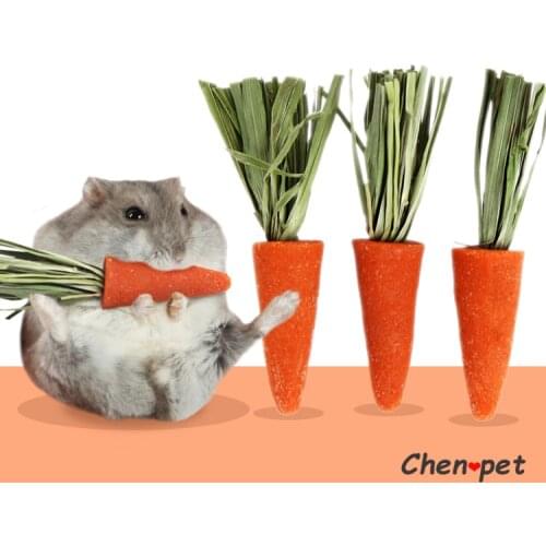 Small Pet Molar Supplies Natural Carrot and Grass Snack Chewing Toy for Hamster Guinea Pig Rabbits Small Animal Cage Decor