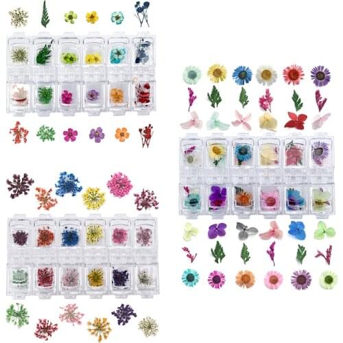 Pressed Dried Flower Dry Plants For Epoxy UV Resin Pendant Necklace Jewelry Making Craft DIY Nail Art Decoration Accessories
