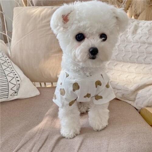 Summer Dog Tshirt for Small Medium Dogs Kawaii Korea Bear Print Pet Dog Vest Pomeranian Yorkie Chihuahua Cooling Shirt for Puppy