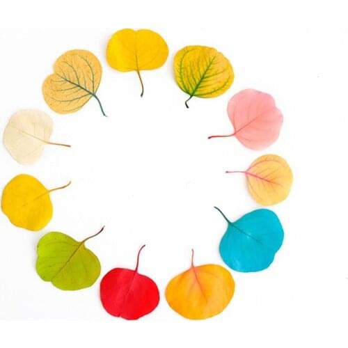 50g/45-55cm Natural Preserved Eucalyptus Leaves Bouquet Eternal Display Arrange Flowers For Wedding Home Decoration Accessories