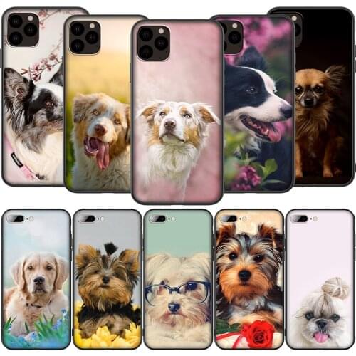 Lavaza K149 Yorkshire Terrier Dog Silicone Soft Case for iPhone 12 Mini 11 Pro XS Max XR X 8 7 6 6S Plus 5 5S SE 2020
