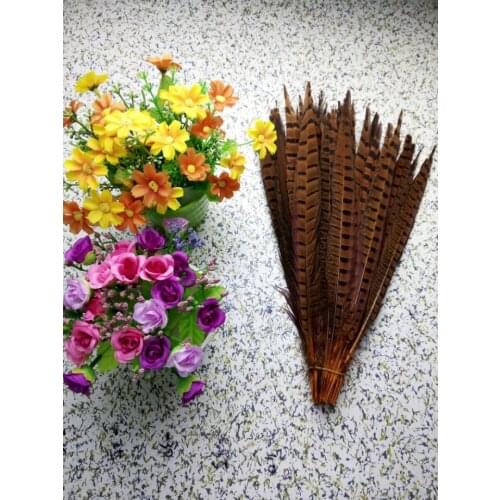 Wholesale perfect 10pcs high quality natural Male Pheasant feathers 14-16inch/35-40cm Decorative diy orange