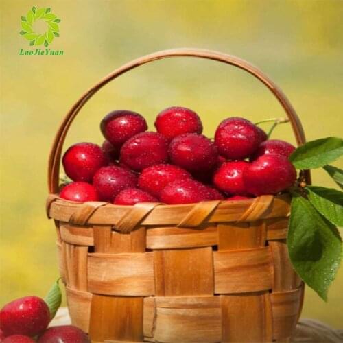 5D DIY Diamond Embroidery Kitchen Food Fruit Basket Cherry Diamond Painting Cross Stitch Round Mosaic Decoration