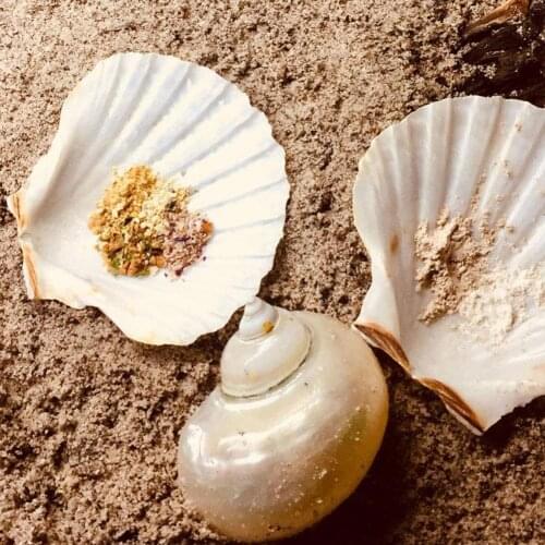 2PCS 10-14CM Natural Shells Big White Scallop Seashells Ornament Nautical Home Decor Beach Wedding Decorations Jewelry DIY Shell