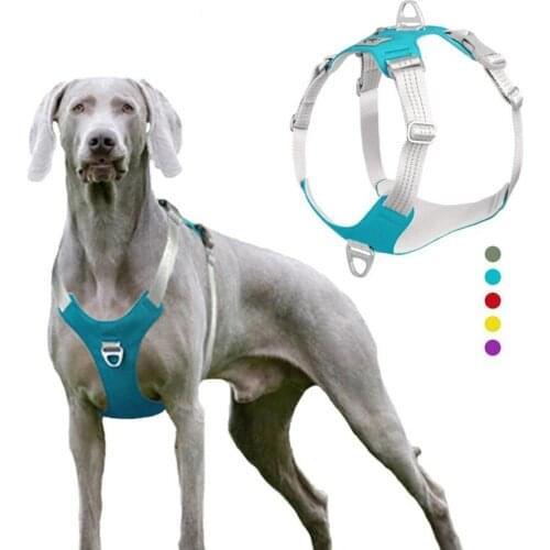 Dog Training Reflective Chest Strap Belt Vest Adjustable Reflective Dog Chest Strap Vest Outdoor Training Protective Harness