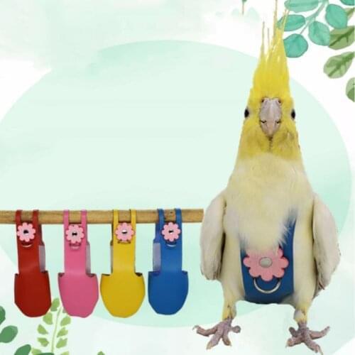 Bird Parrot Velvet Leather Diaper with Leash Harness Rope Cockatiel Pigeons Flight Suit Clothes Feces Pocket Training Adjustable