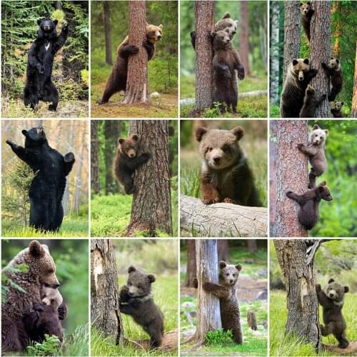 Evershine Diamond Embroidery Animal Full Square Diamond Painting Bear Cross Stitch Rhinestone Pictures Mosaic Art Home Decor