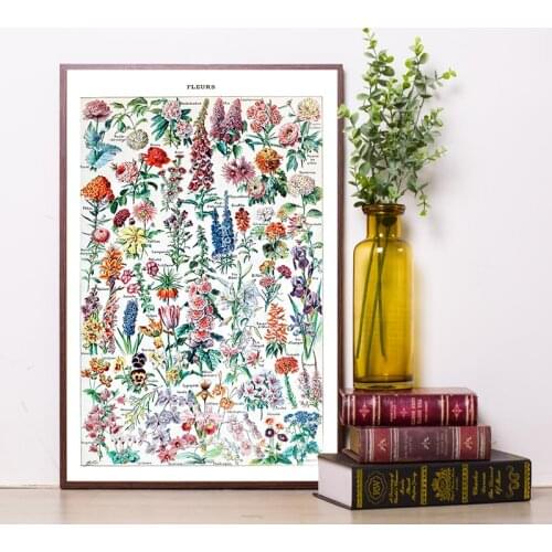 Vintage Flowers Canvas Art Prints LAROUSSE Poster Colorful Antique Botanical Painting Wall Pictures Living Room Decor