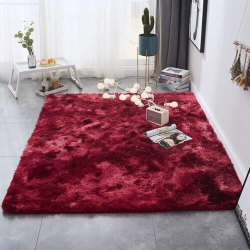 Soft Fluffy Area Rugs Living Room Carpet Shag Furry Rug for Bedroom Rectangle Fluffy Bedside Rug Modern Plush Nursery Rug Carpet