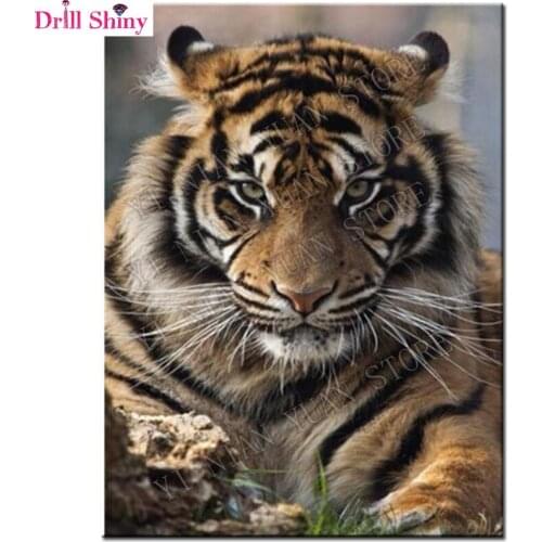 5D Diy Diamond Painting Cross Stitch Full Diamond Embroidery Tiger 3D Diamond Mosaic Pattern Rhinestone Pasted Needlework Resin