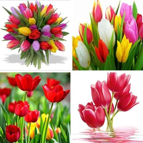 Diamond Painting Flower tulips 5D DIY Full Square Diamond Embroidery Picture Of Rhinestone Mosaic home decoration Christmas gift