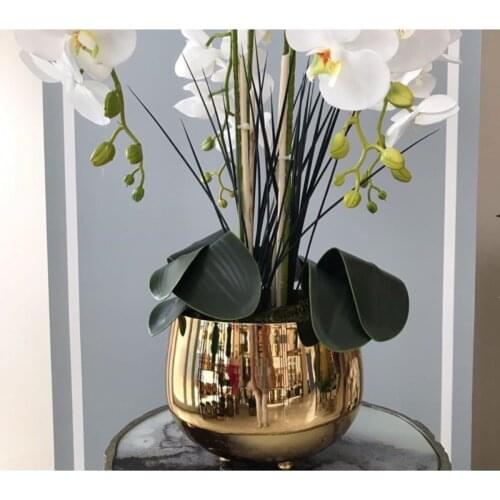 Hazella Home Plant Pots