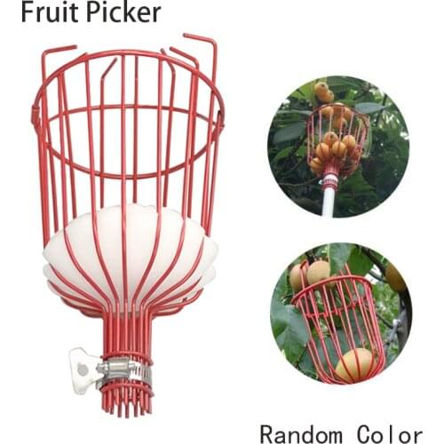 New Design Fruit Picker with Sponge Random Color Basket Head Harvester Fruits Catcher Citrus Pear Collector Garden Tool