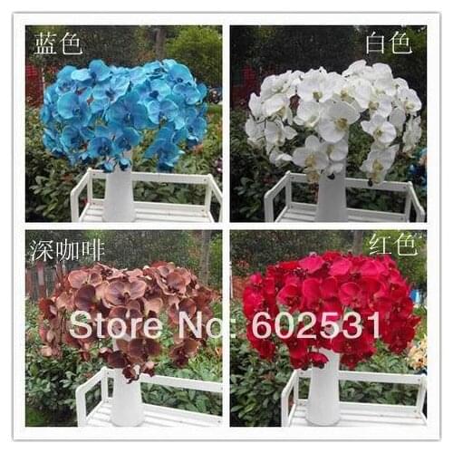 SPR single oil painting butterfly orchid flowers butterfly orchid (5/lot),6color available FREE SHIPPING