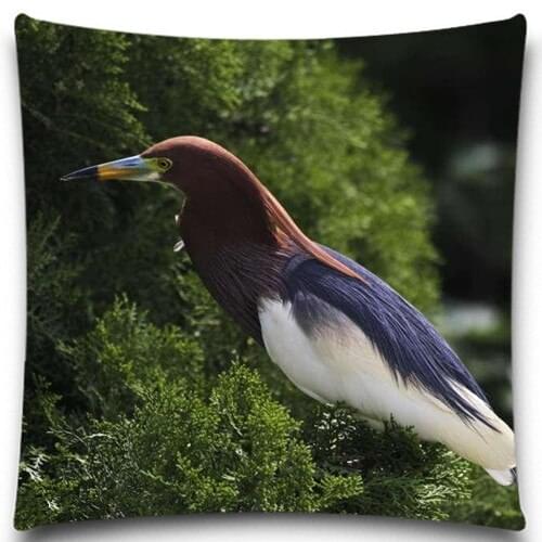 Brown and purple feathers of a bird Cotton Polyester square 5 size 9 style Pillows Case for Sofa Car Cushion Cover Creative