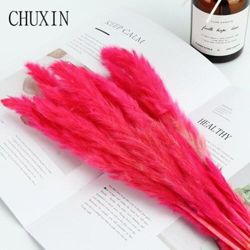 15pcs Red Pampas Grass Reed Natural Dried Flower Garden Decor Balcony Bedroom Decoration Dried Flowers Pampas Grass 60cm