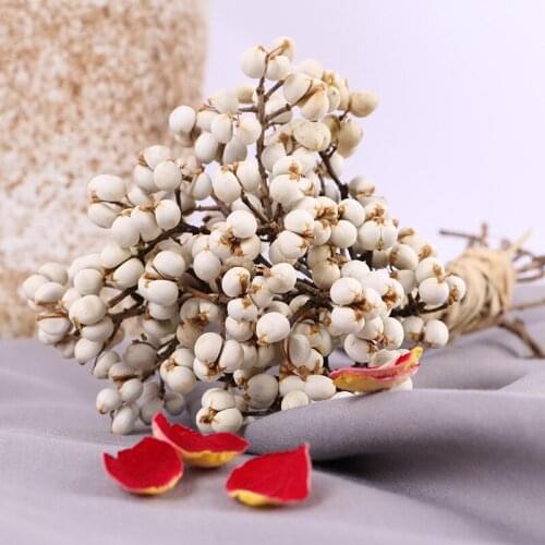 Natural Real White Fruits Bunch Eternal Dried Display Flower For Wedding Home Decoration Table Accessories Dry Flowers Secas