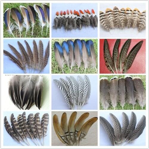 Wholesale 10 PCS beautiful 2-8 inches / 5-20 cm natural pheasant feathers 15 kinds of specifications of decoration