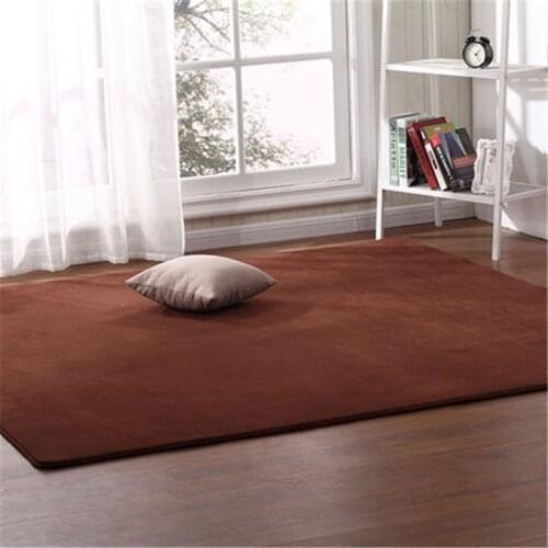High quality short-haired coral velvet carpet living room coffee table blanket bedroom bedside mat bed front room rug