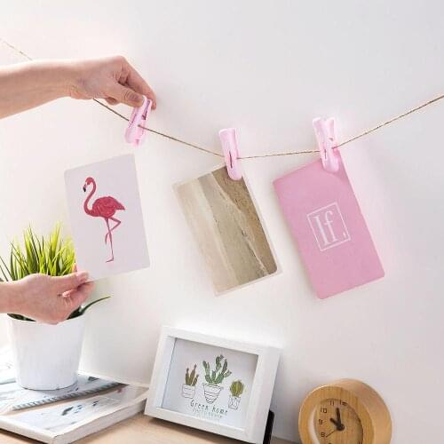 12PCS Windproof Clothes Pegs Plastic Hangers Racks Fixed Clothespins Laundry Clothes Pins Useful Hanging Photo Paper Craft Clips