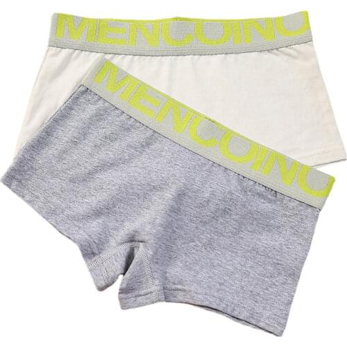 HaleyChan Cotton Underwear Women Ropa Interior Femenina Women Cotton Panties Tomboy Trans Lesbian Lgbt Boxer Briefs Underwear