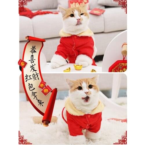 Cat Clothes of Chinese Lion Dance and Lovely Against the Shed to Keep Warm Pet Blue Cat in the New Year New Years Day New Year