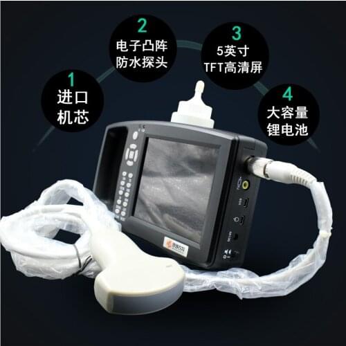 Portable veterinary b super machine pig, sheep, cattle and dog pet pregnancy testing equipment