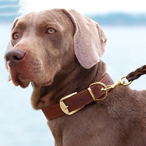 PETKIT Collars