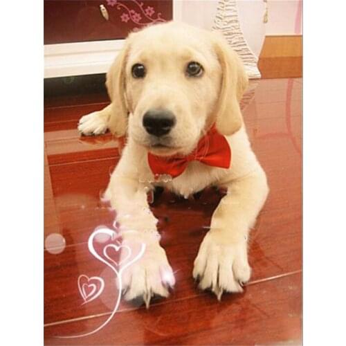 Colorful Dog Cat Necklace Adjustable Strap for Cat Collar Dogs Accessories Pet Dog Bow Tie Puppy Bow Ties Dog Pet Supplies